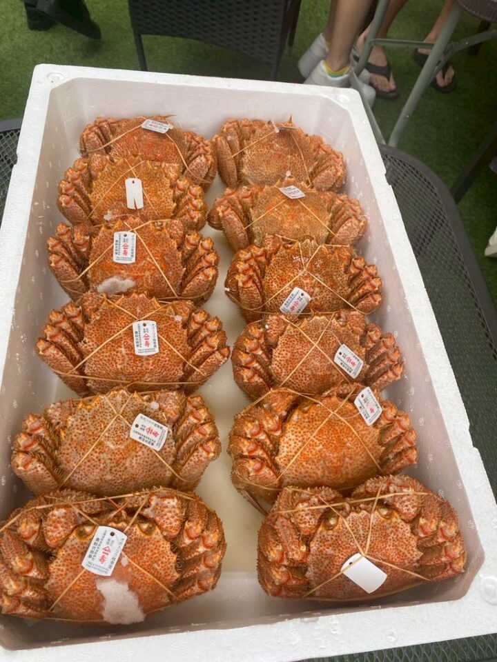 【開催報告】すすきのX（BBQ）祭りの画像
